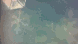 чсчс