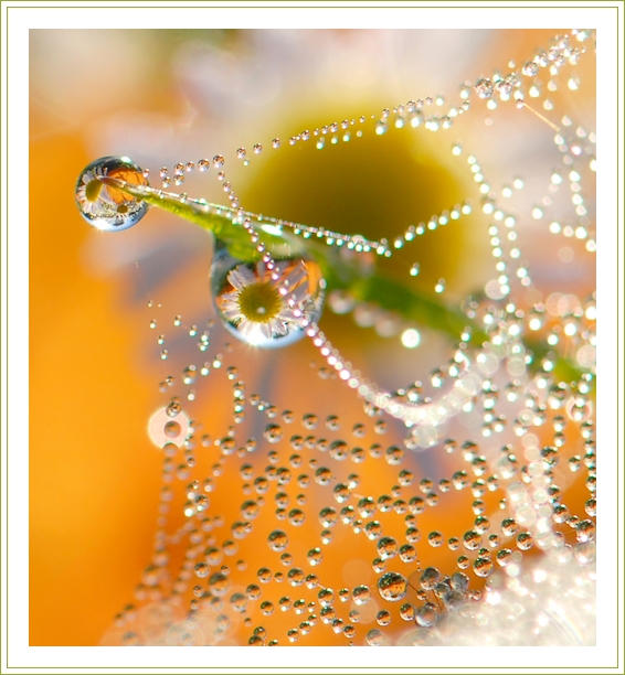 Копия 3465406_large