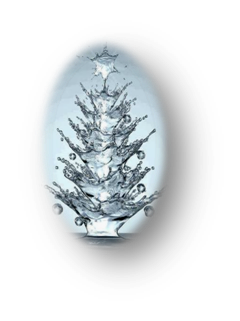 елхичка от вода