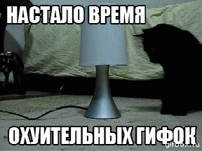 cda8c9bf86f168a5216647439bdc45ed