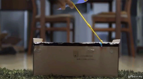 be1f5f214b21cabc8288ce732b98cff1