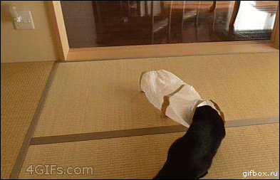 3b62b507e2553f1747f844b005868b96