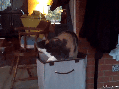 020ddd55edb2229d488063edd51cd233