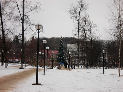 get-edited-image (8) ёлка 29.12.13