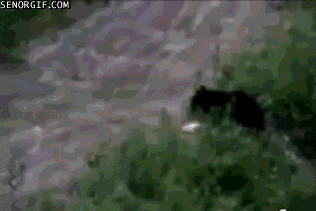 1388570762_1958574877