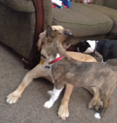 Открой рот и не глотай.