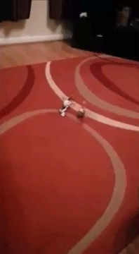 1389554069_1269040338