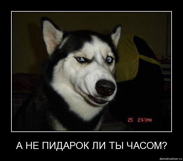 а не пидарок ли ты часом