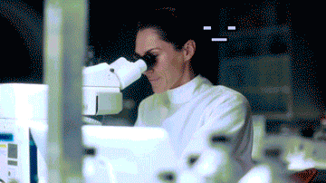 1390295138_1252633229