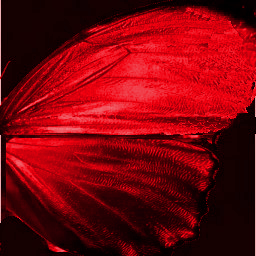 0_dcb75_bb3f1d15_M