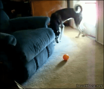 1390455801_2016183856