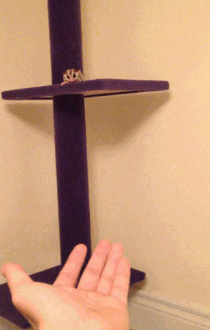 Fungif_23