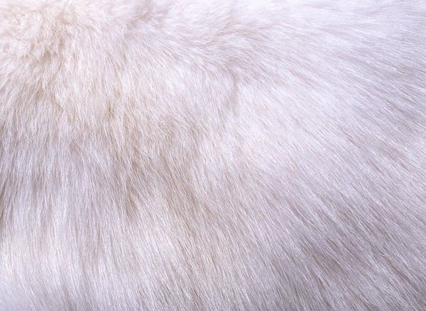 Безымянный