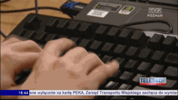 прогер