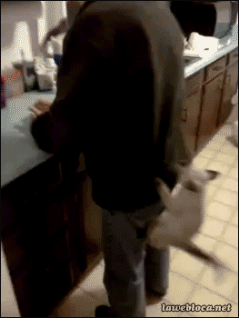 1390971047_969850735