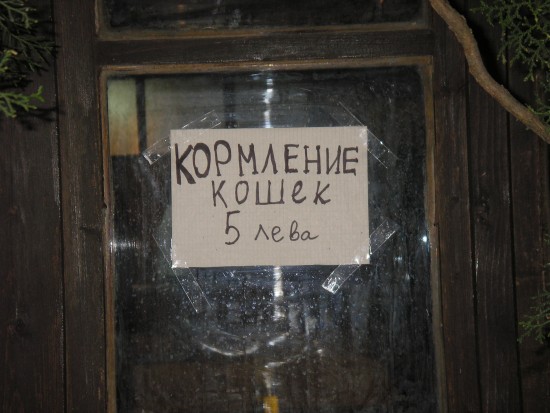 P8110939