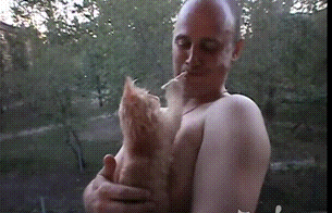 гифки-котэ-живность-1052964