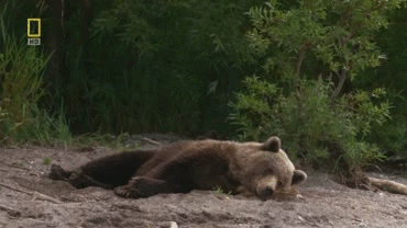 1391341867_1495528693