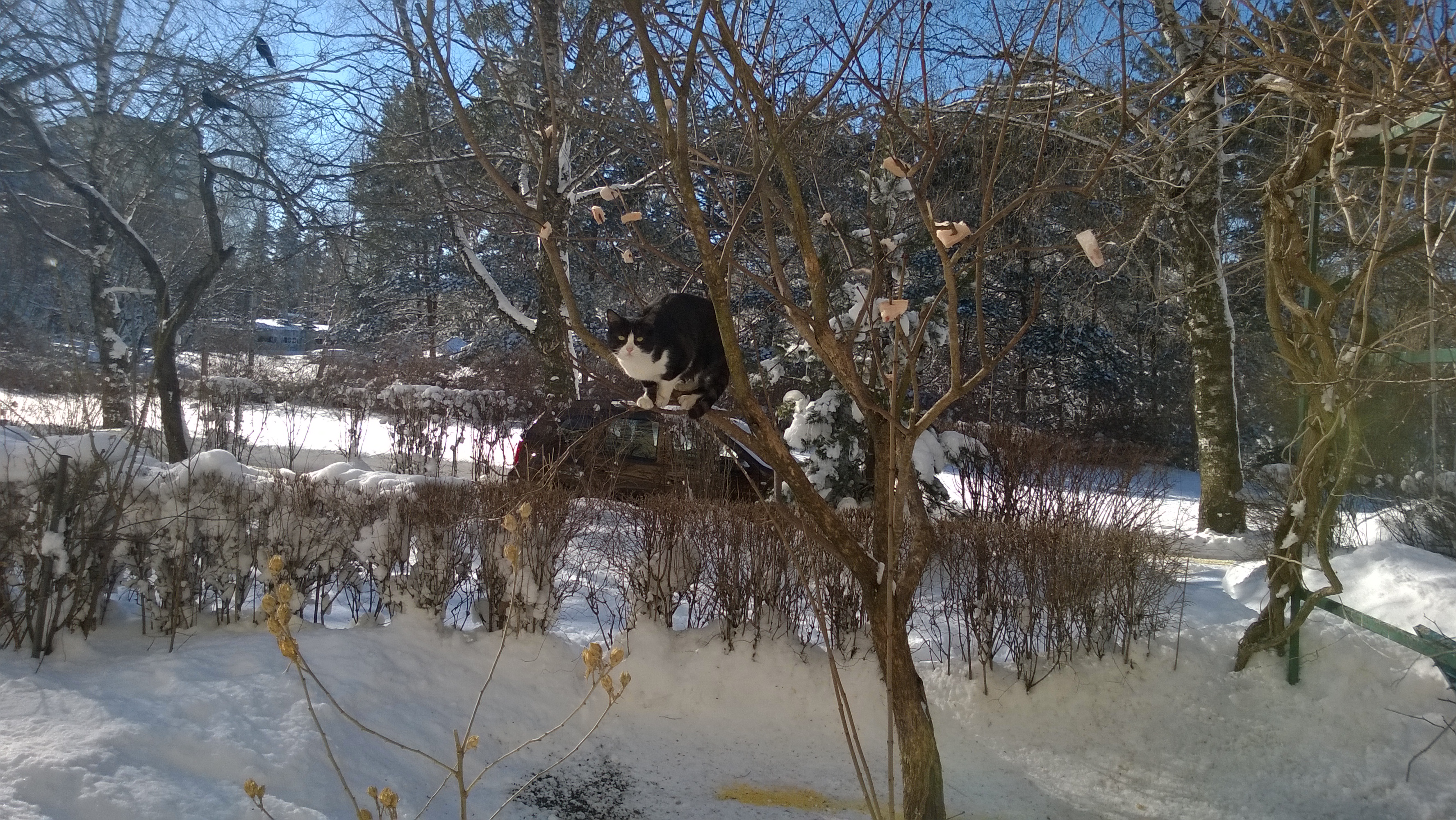 WP_20140204_15_20_51_Pro