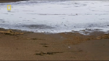 1391680709_917455516