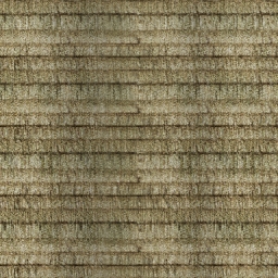 trunk08