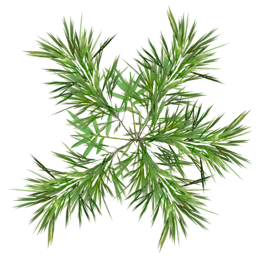 leaves02_a