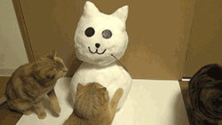 котэ-живность-милота-снеговик-1068264