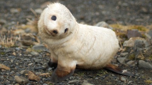 109960761_large_3250549_69f9000d