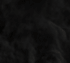 blackcat