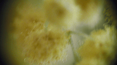 a557155848IFLQGQD_63121_b5369a963b