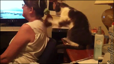 1392611048_1801857227