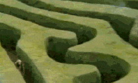 гифки-лабиринт-1082377