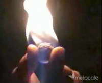 bollwww