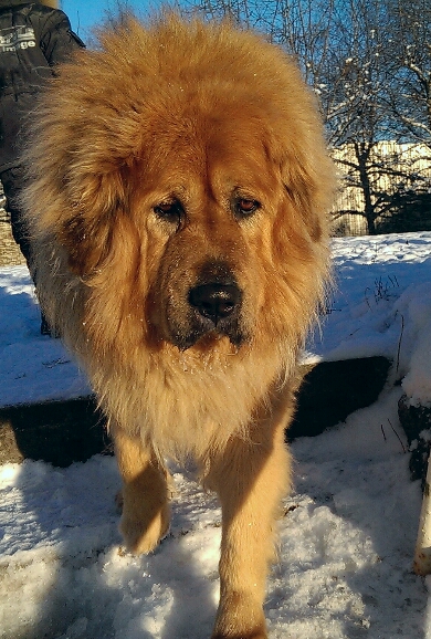 PhotoStudio_1390136781044