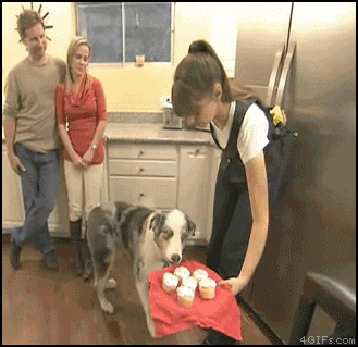 post-10892-1334001860