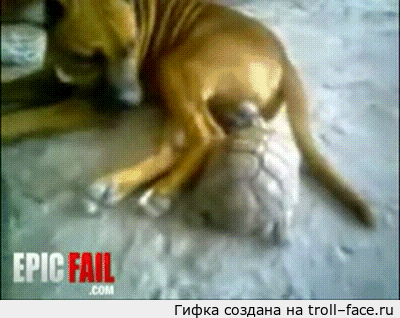 troll-face.ru_52534c