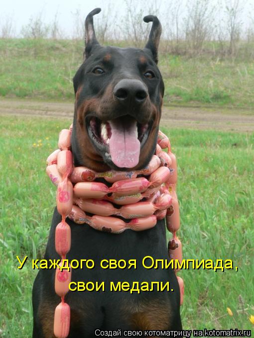 110470425_5285052_kotomatritsa_IJ