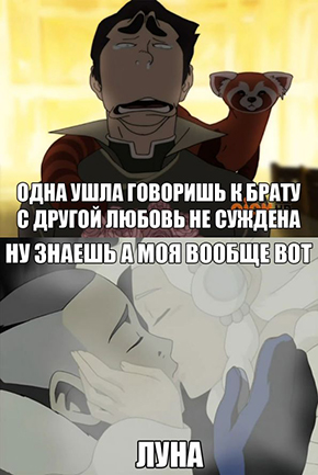 80488592