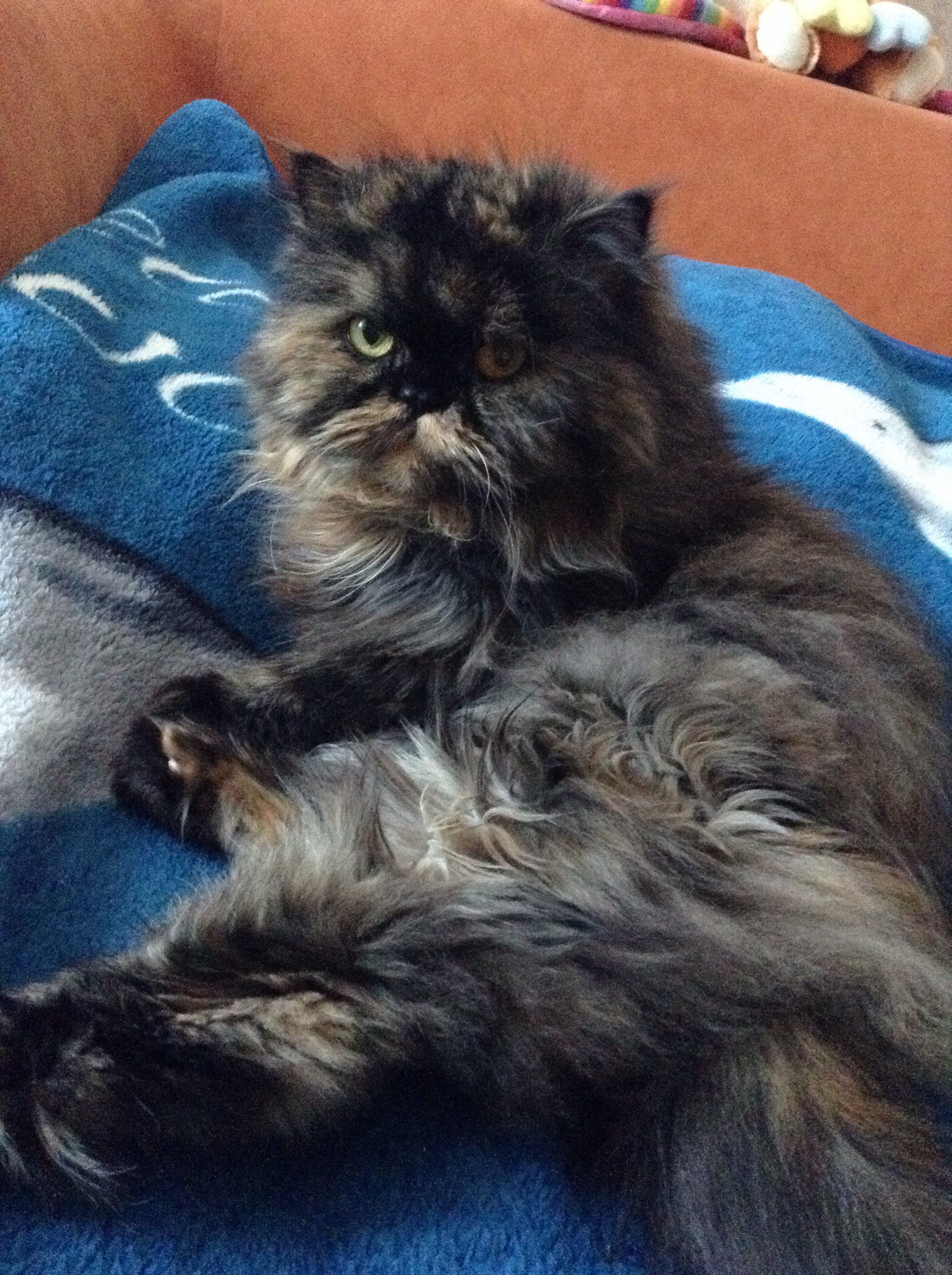 021A8BC2-BE0A-45ED-9D5B-8B81376D7925-1