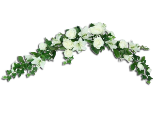 039da4a75f5505173ab417dae04392f7