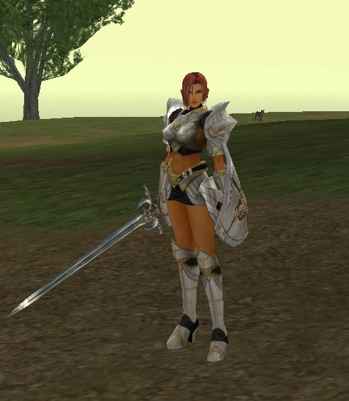 human_phoenix_knight