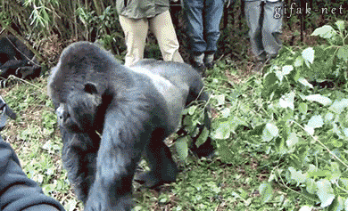 Мимоходом зацепил