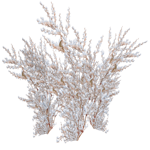 snow_bush_03_by_brokenwing3dstock-d5mrwaa