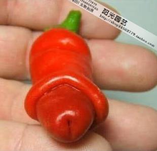 T2_gXfXjpNXXXXXXXX_!!61637803