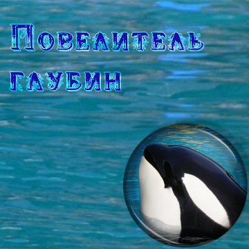 Значок КР_Касатка2_