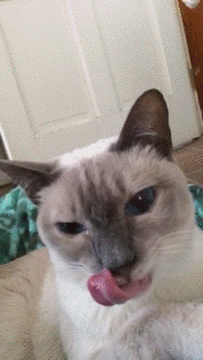 doc157061399_282160633