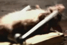 x_06Zd0BuTZ_xlarge (1)