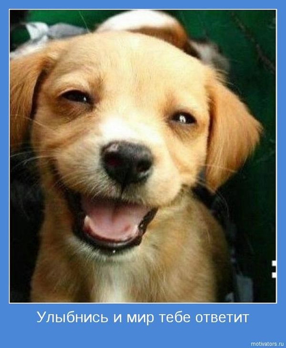 110758353_1368686227_wwwradionetplusru2