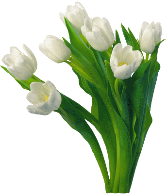 0c0a169685f99c872a66484addac79b3