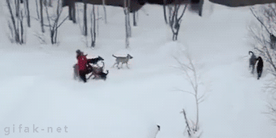 В очередь от лопаты суки...